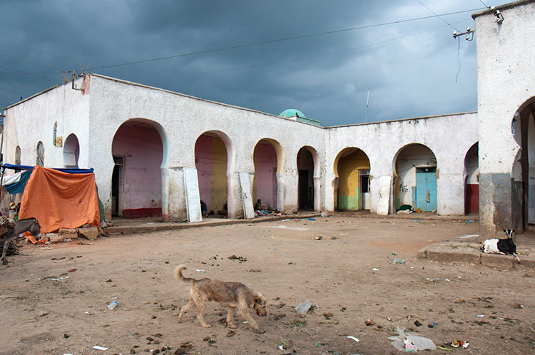 03_Harar_00_WalkingAround_11