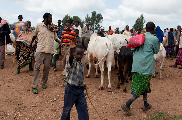 03_Harar_04_BabileMarket_05