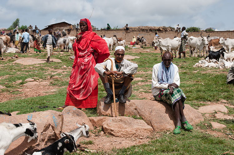03_Harar_04_BabileMarket_46