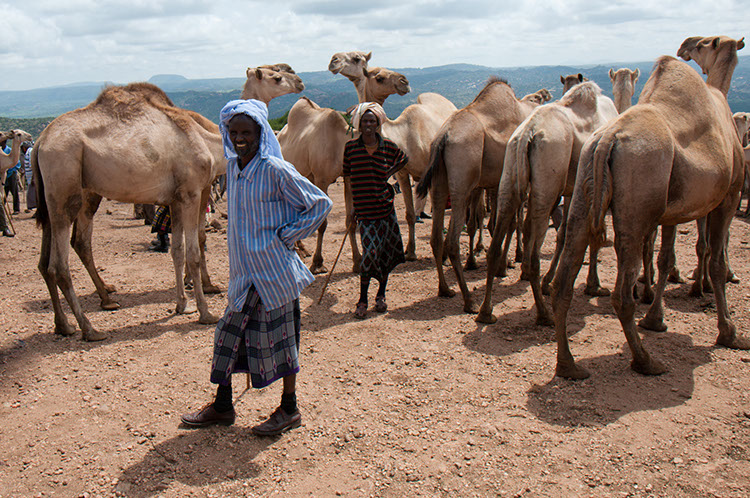 03_Harar_04_BabileMarket_43