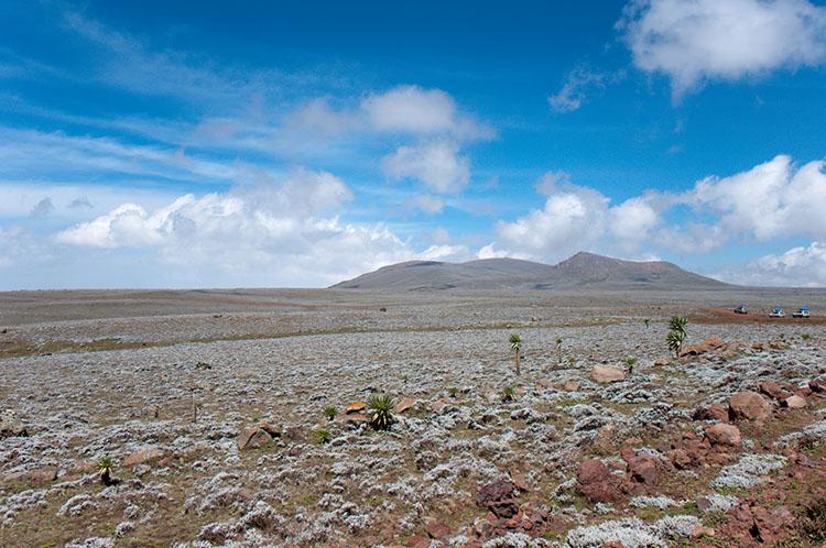 08_BaleMt_00_SanettiPlateau_36