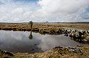 08_BaleMt_00_SanettiPlateau_06