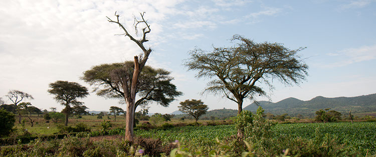 23_Jinka-ArbaMinch_014