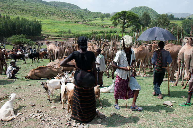 28_Sembete_22