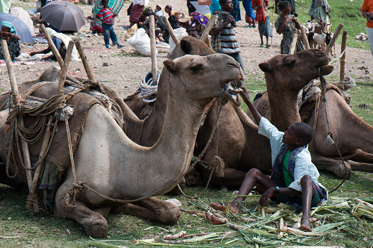 28_Sembete_45