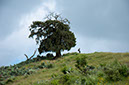 30_Lalibela_00_walkingAround_31