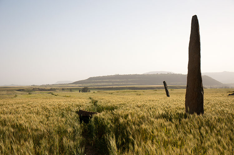32_Aksum_03_GuditStelaeField_3