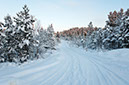 Sweden_01_2012_0646