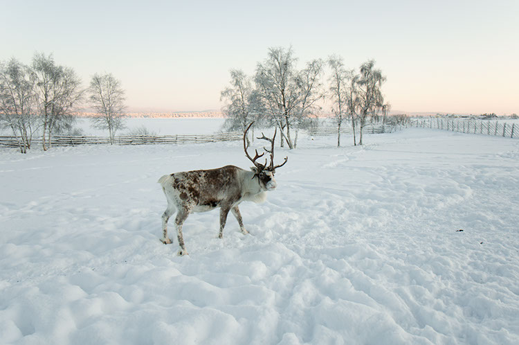 Sweden_01_2012_0786